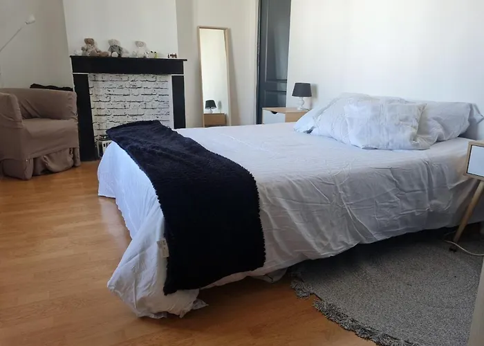 Privatif Cozy Euratechnologies בית אירוח ליל