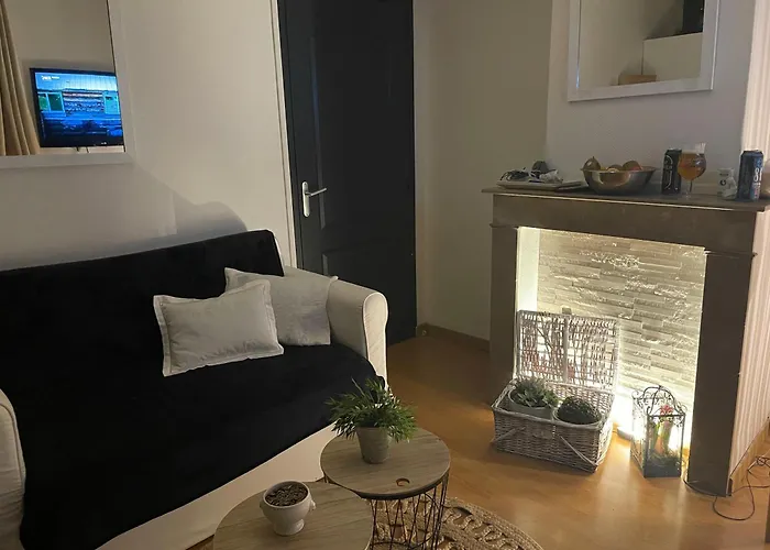 בית אירוח Privatif Cozy Euratechnologies *